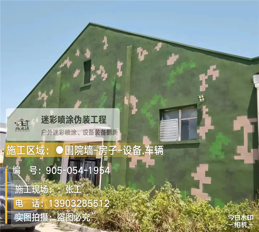 泰州外墙数码迷彩漆施工报价清单（100㎡标准墙面测算）